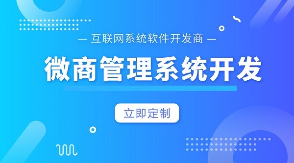 成都微商城系统定制开发-成都恒软科技